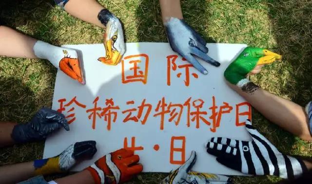 今天，我們來(lái)談?wù)勱P(guān)于“保護(hù)”的問(wèn)題