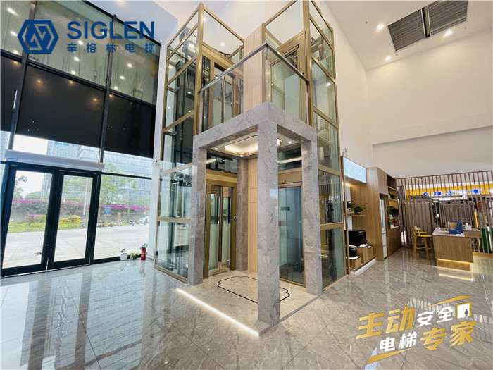 廣東<a href='http://www.zekitlw.cn/jydt.htm' class='keys' title='點擊查看關(guān)于家用電梯的相關(guān)信息' target='_blank'>家用電梯</a>,廣東家用電梯十大品牌排行榜,廣東家用電梯品牌,廣東家用電梯牌子,廣東家用電梯哪個牌子質(zhì)量好